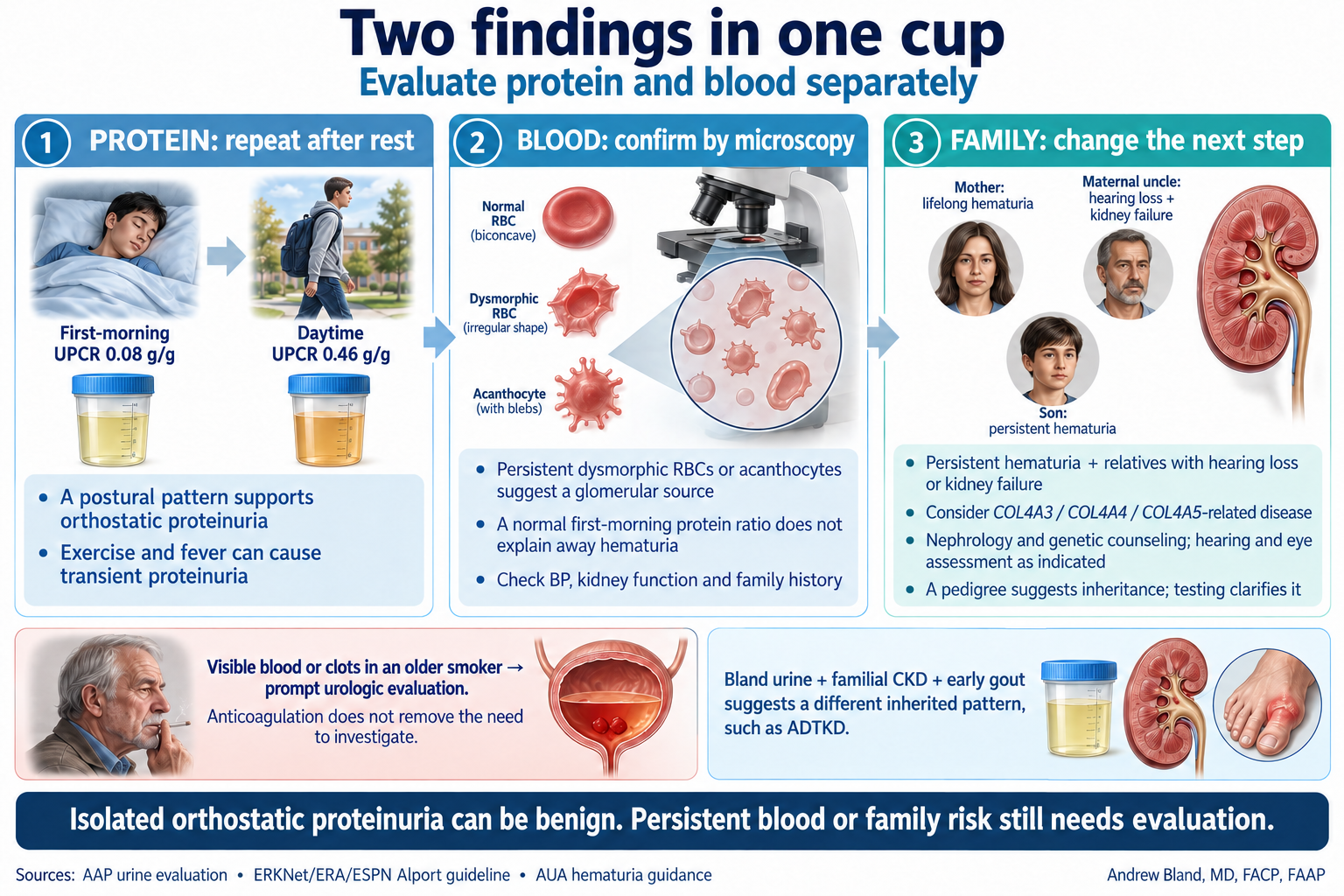 Two findings in one cup: protein, blood and family history