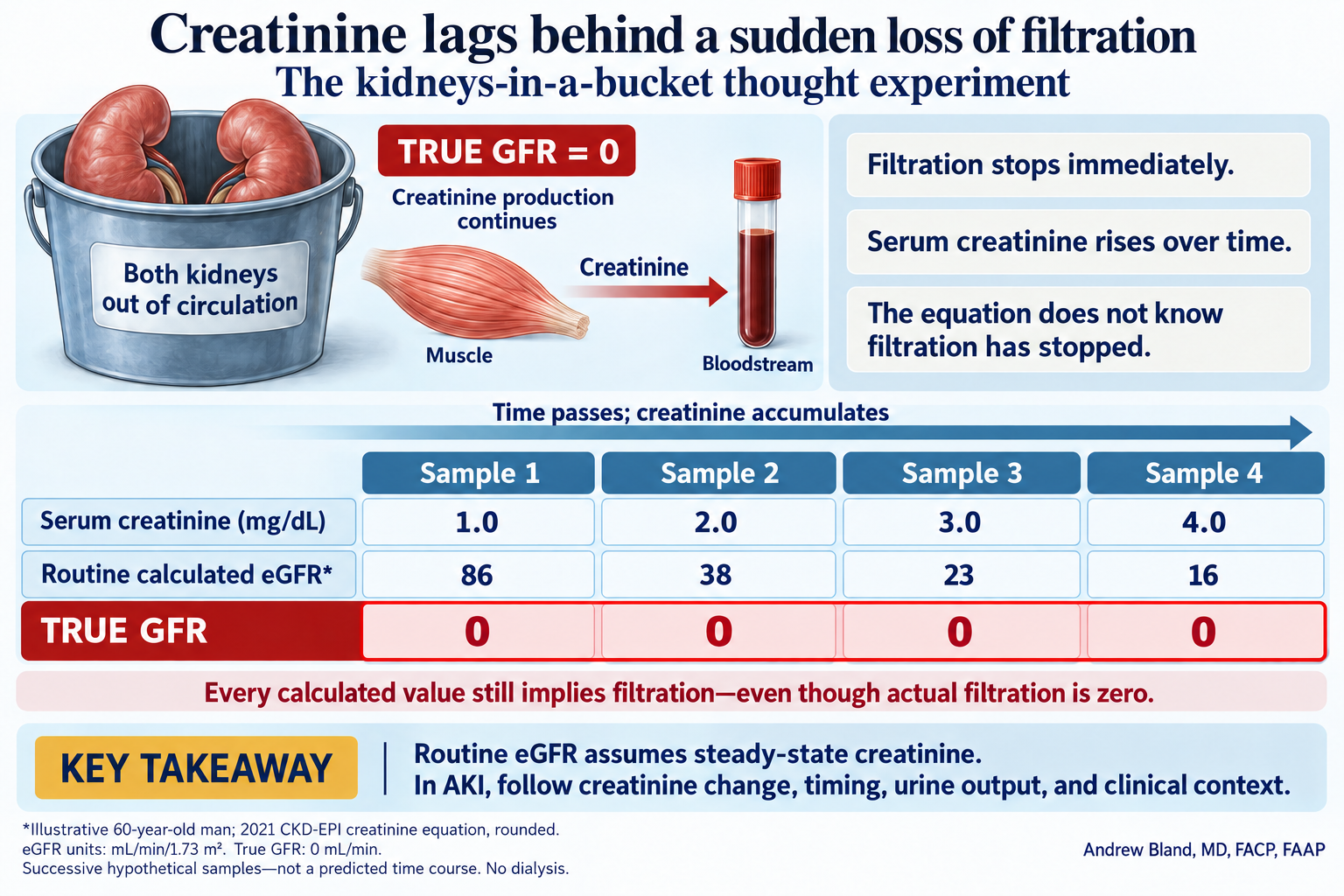 Two kidneys sit outside the circulation in a bucket. At successive hypothetical serum creatinine values of 1, 2, 3, and 4 mg/dL, the routine equation gives eGFR 86, 38, 23, and 16, while true GFR remains zero at every sample.