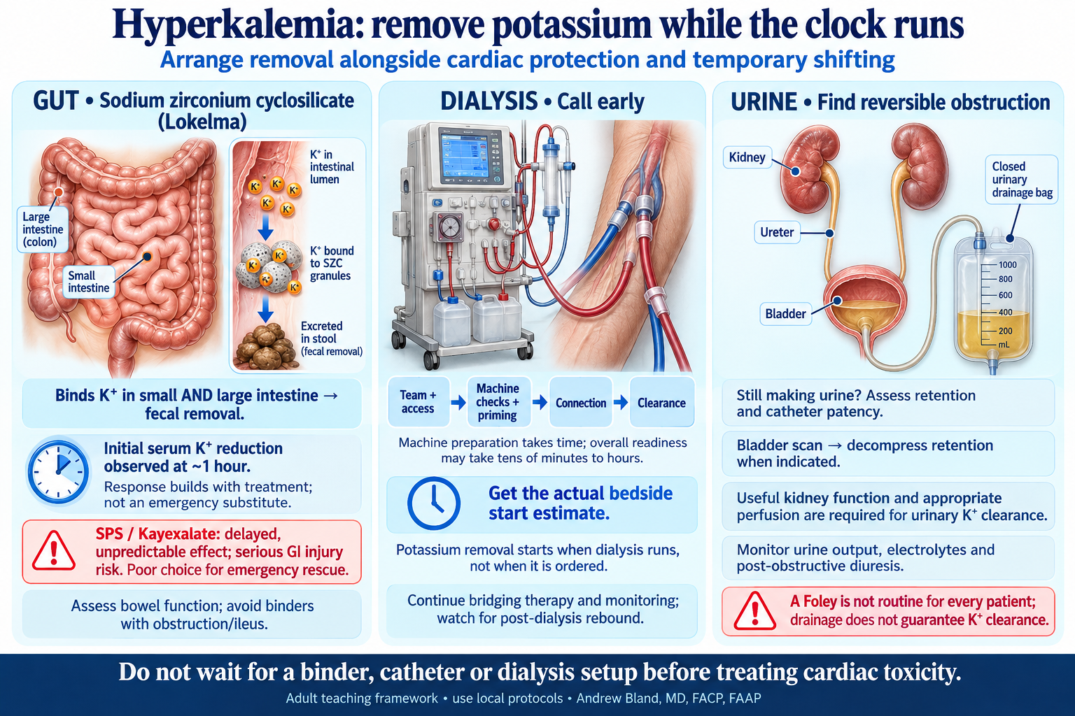 Three potassium-removal pathways: Lokelma binds potassium in small and large intestine, dialysis requires team/access/machine preparation before clearance begins, and catheterization relieves suspected urinary retention when indicated. Emergency cardiac treatment continues in parallel.