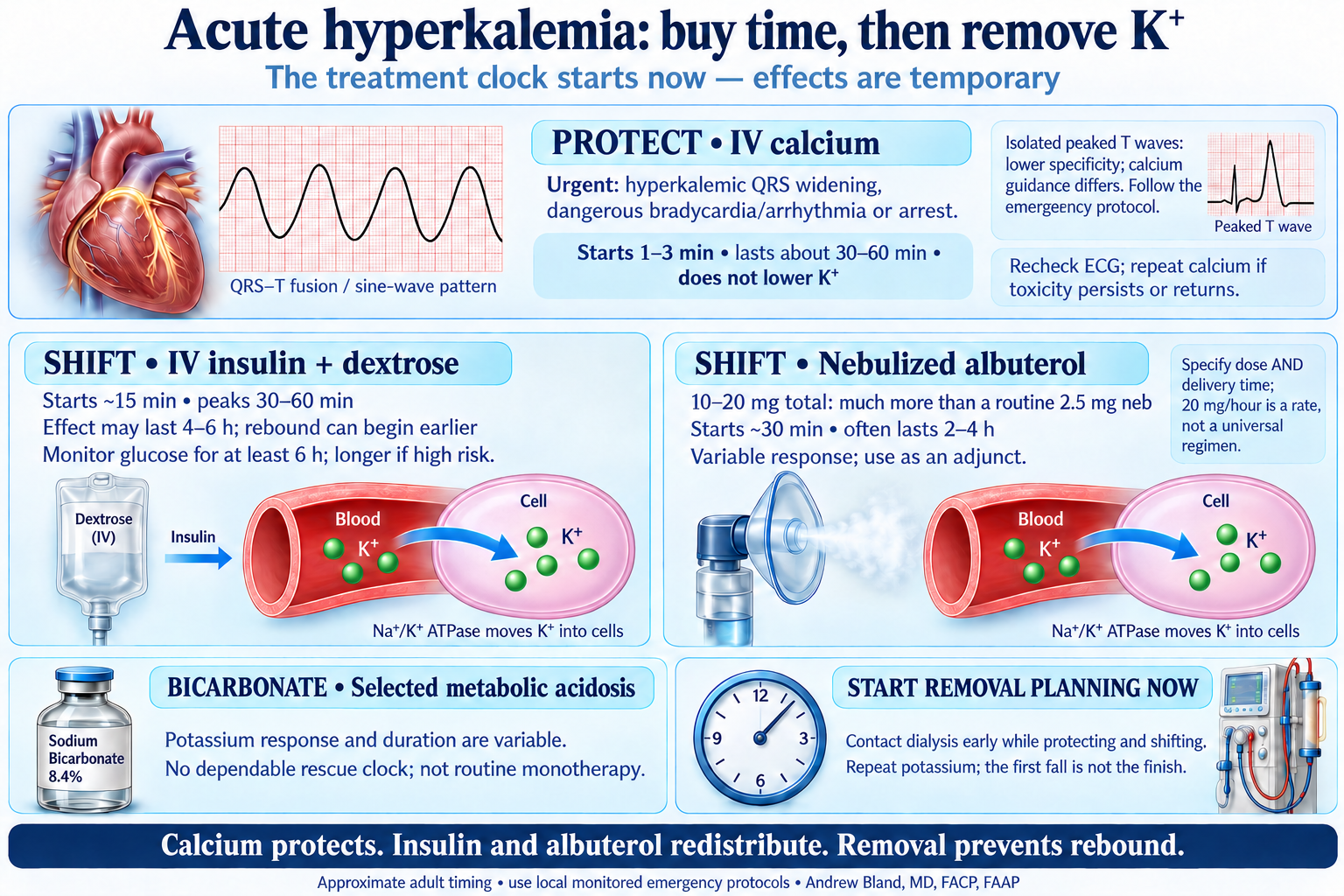 Treatment clocks: calcium begins within minutes and protects for about 30–60 minutes; insulin and albuterol temporarily shift potassium; bicarbonate has an inconsistent potassium response. Removal planning starts alongside these interventions.