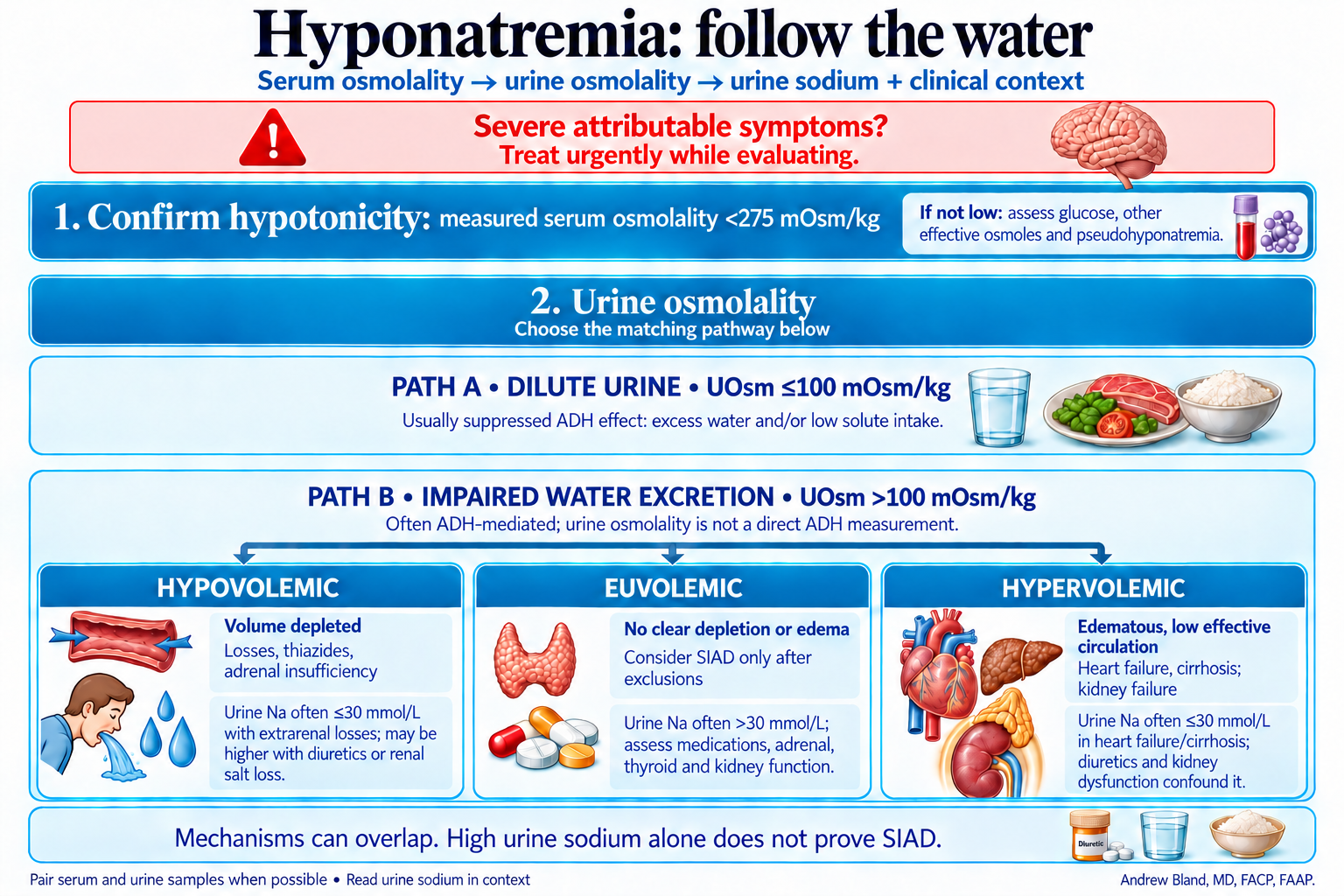 Two alternative urine-osmolality pathways: dilute urine at or below 100 mOsm/kg, or impaired water excretion above 100. The latter separates into hypovolemic, euvolemic and hypervolemic swim lanes with contextual urine sodium interpretation.