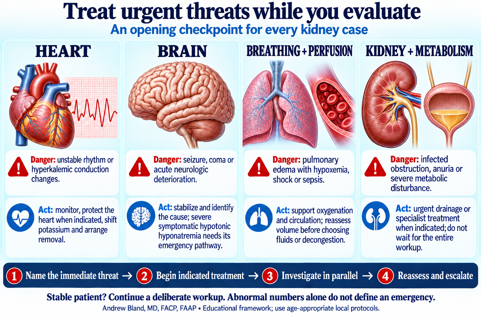 Four urgent assessment domains: heart, brain, breathing and perfusion, and kidney/metabolic threats; stabilize and investigate in parallel, then reassess.