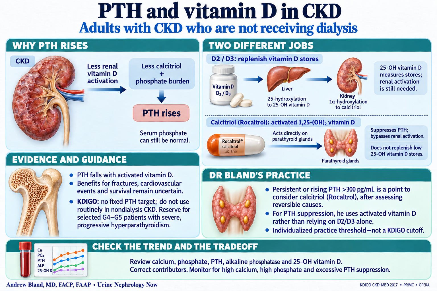 PTH and vitamin D in CKD