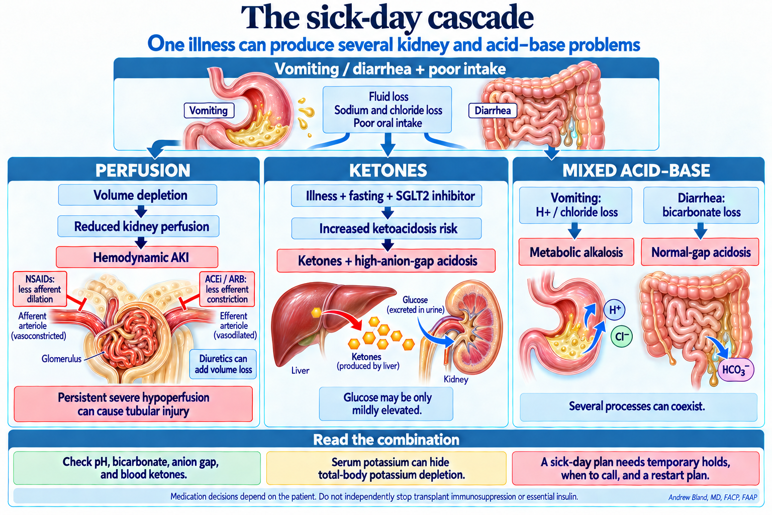 Vomiting, diarrhea, and poor intake can reduce renal perfusion. NSAIDs, ACE inhibitors or ARBs, and diuretics can compound the hemodynamic problem. Illness and fasting during SGLT2 therapy raise ketoacidosis risk. Vomiting may add metabolic alkalosis, while diarrhea may add normal-gap acidosis.