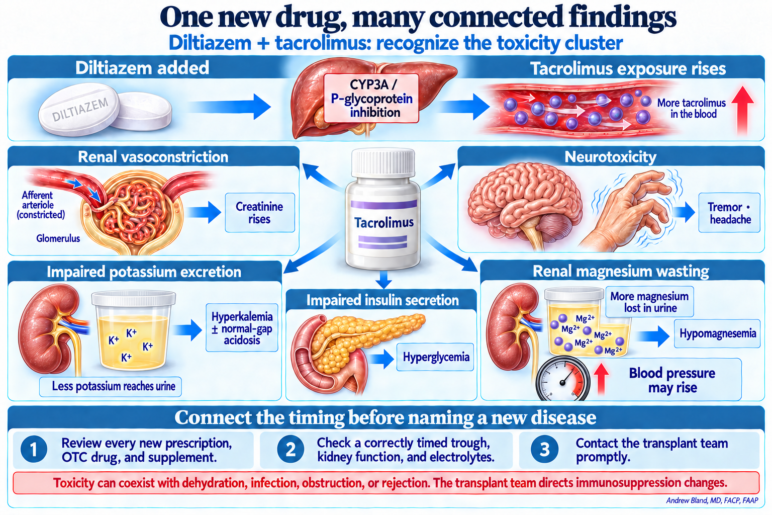 Diltiazem inhibits CYP3A and P-glycoprotein, increasing tacrolimus exposure. Tacrolimus toxicity can cause renal vasoconstriction, tremor or headache, impaired potassium excretion, magnesium wasting, hyperglycemia, and hypertension. Other causes of graft dysfunction must still be considered.