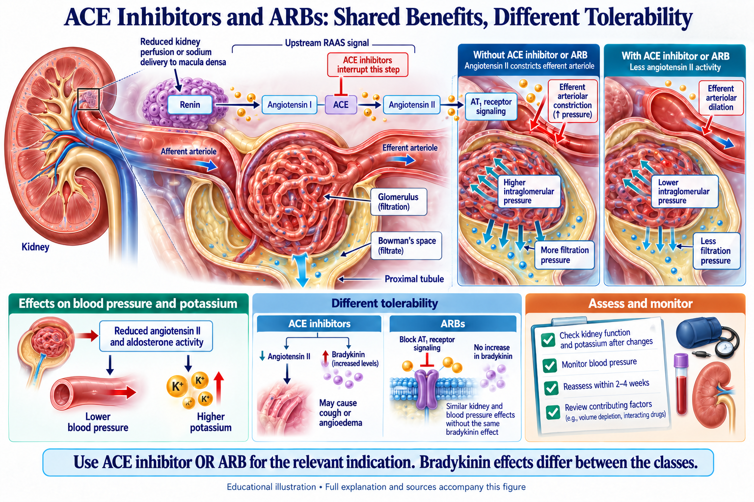 ACE Inhibitors and ARBs: Shared Benefits, Different Tolerability visual summary