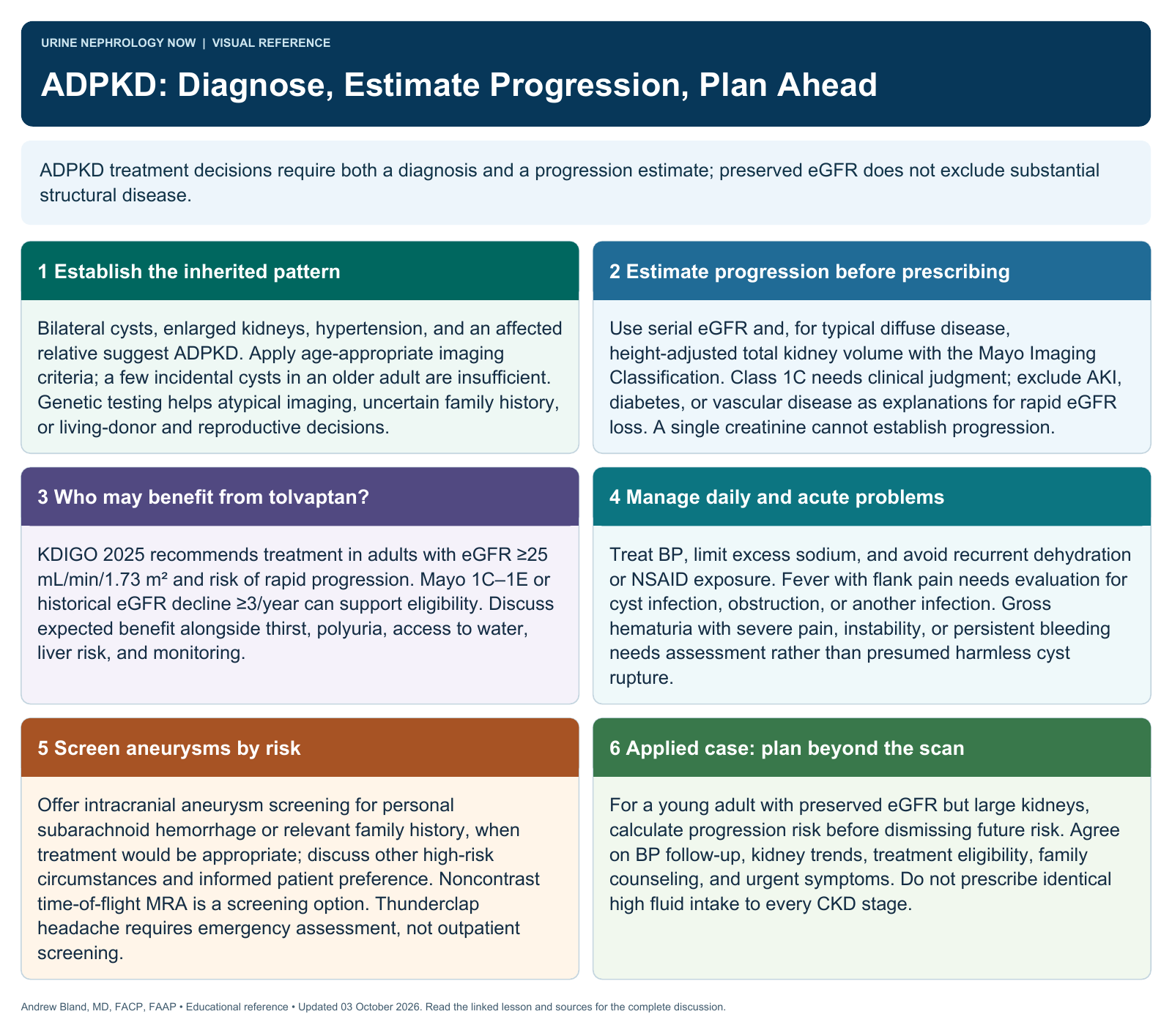 ADPKD: Diagnose, Estimate Progression, Plan Ahead. Full text follows below.