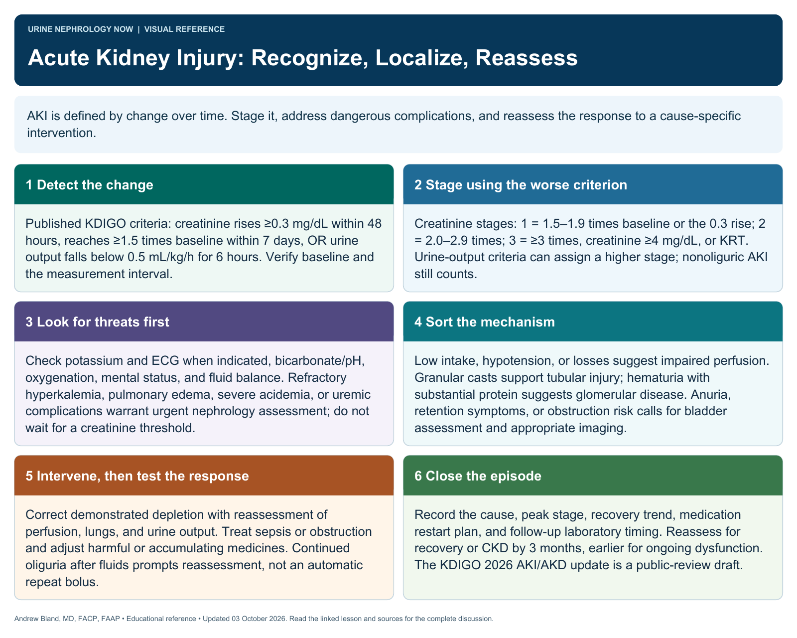 Acute Kidney Injury: Recognize, Localize, Reassess. Full text follows below.