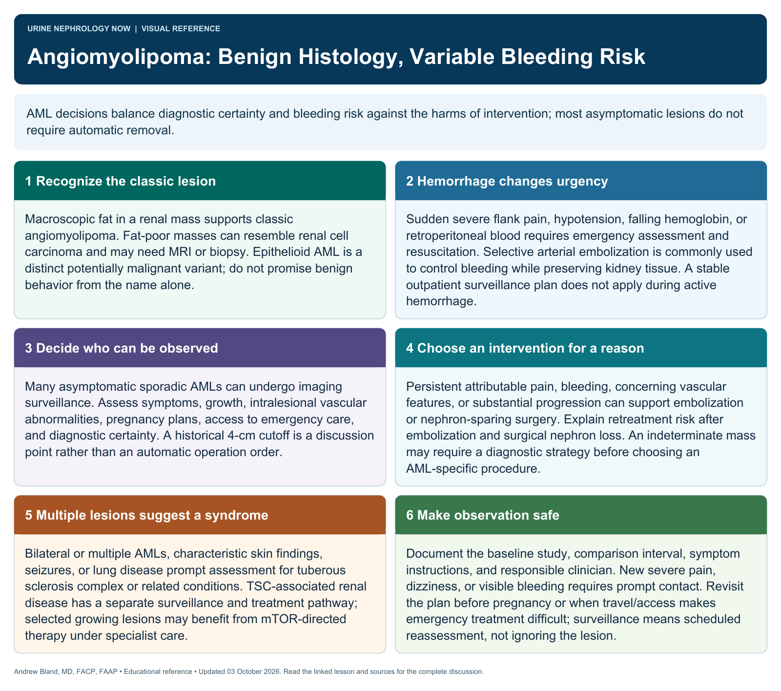 Angiomyolipoma: Benign Histology, Variable Bleeding Risk. Full text follows below.