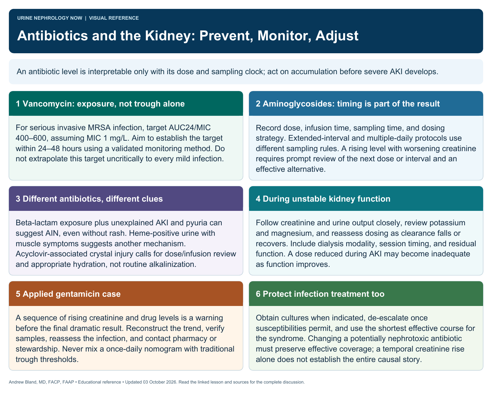 Antibiotics and the Kidney: Prevent, Monitor, Adjust. Full text follows below.