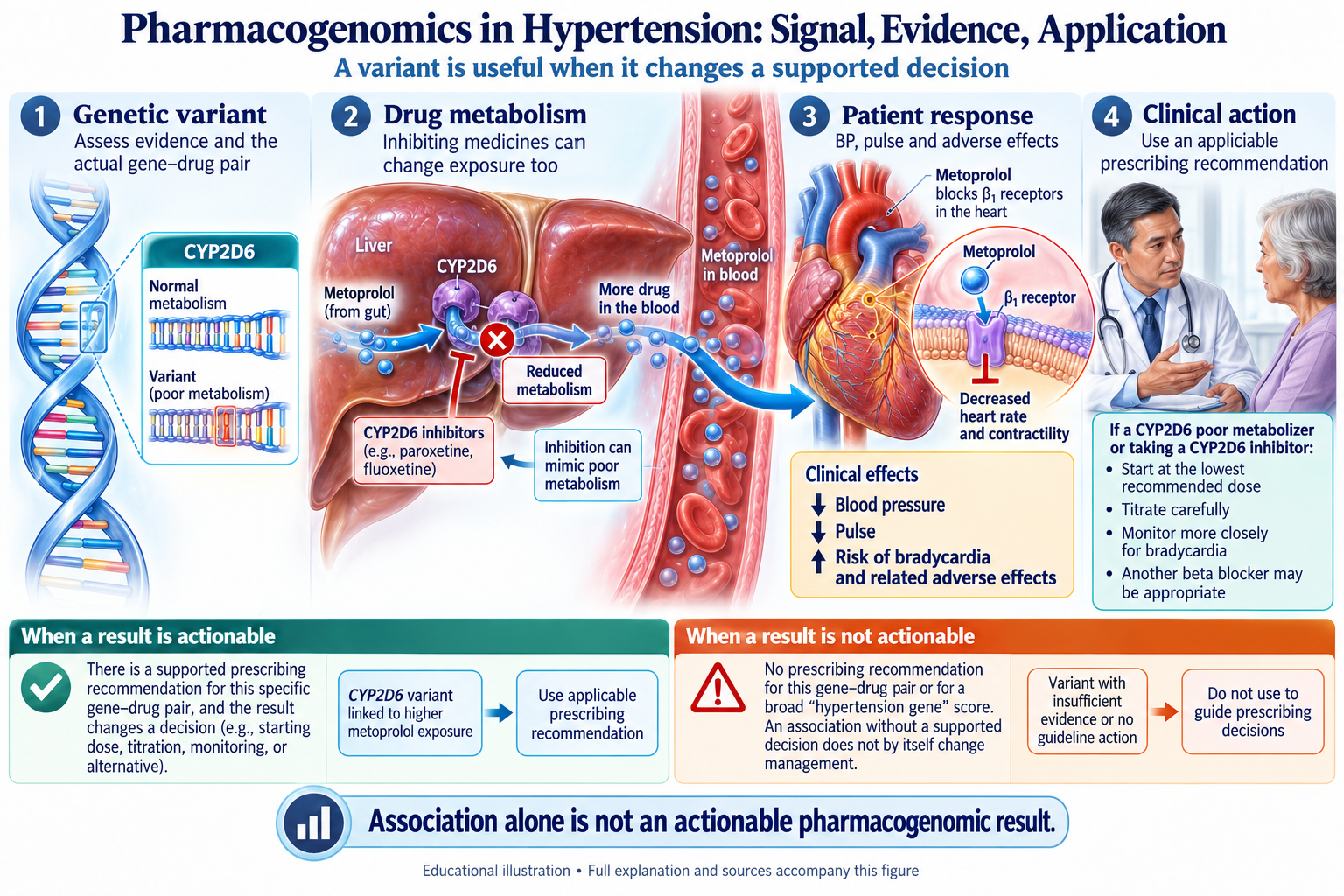Pharmacogenomics in Hypertension: Signal, Evidence, Application visual summary. Open for the full image and text version.