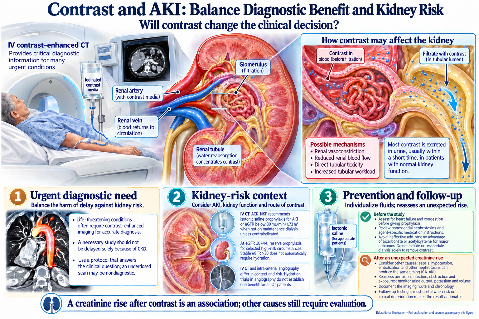 Contrast and AKI: Balance Diagnostic Benefit and Kidney Risk visual summary