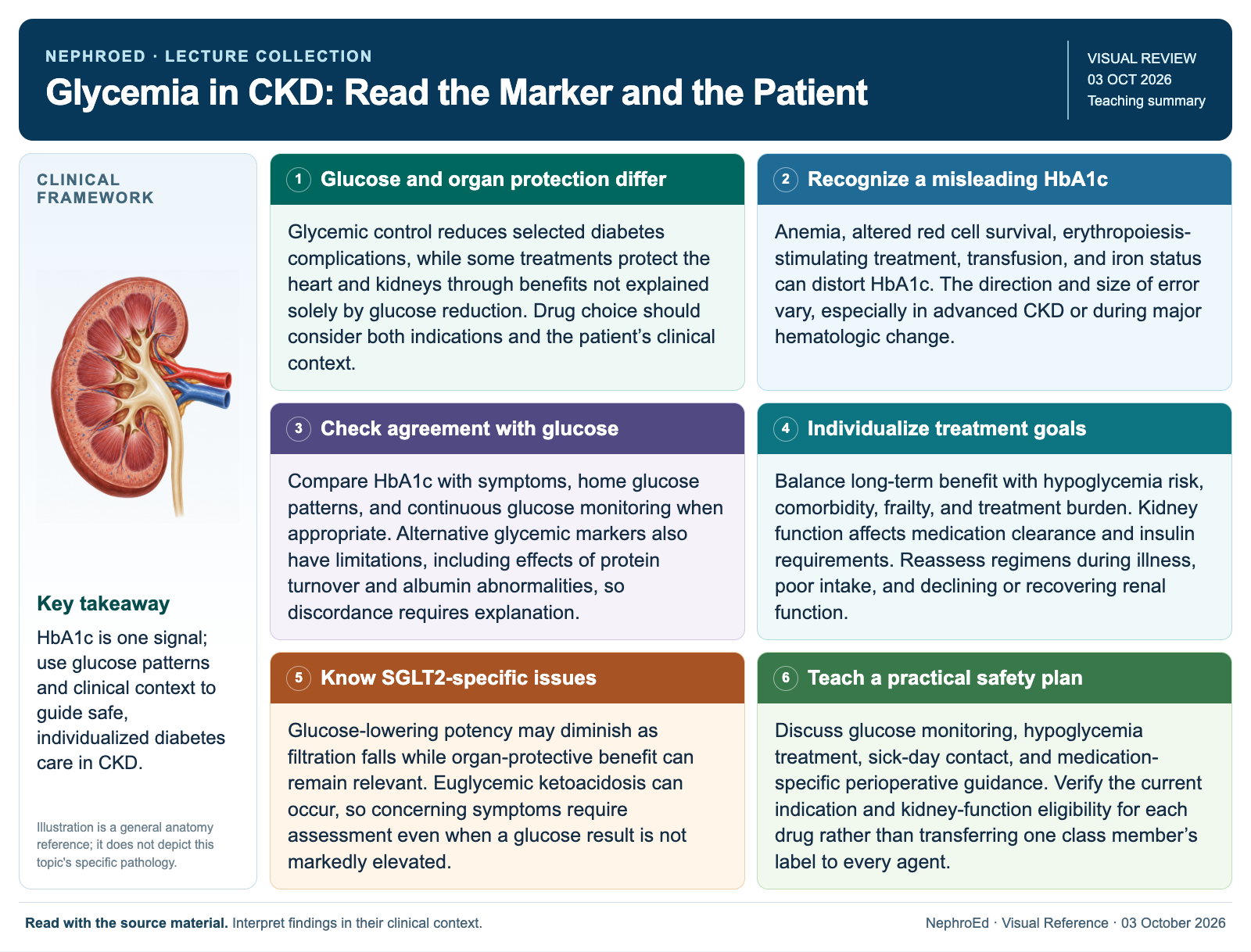 Glycemia in CKD: Read the Marker and the Patient visual summary. Open for the full image and text version.