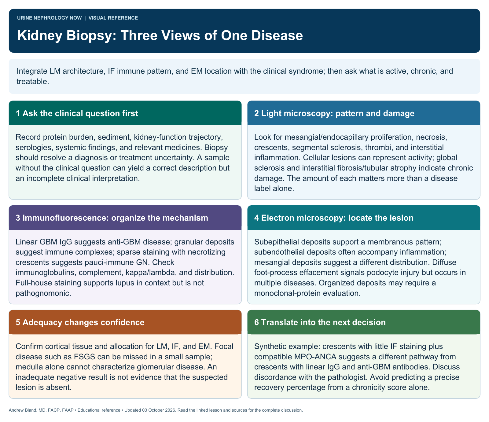 Kidney Biopsy: Three Views of One Disease. Full text follows below.