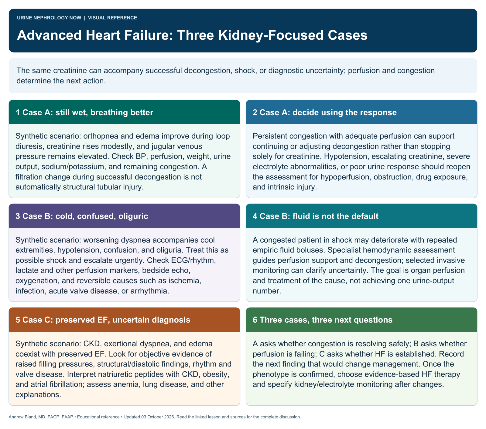 Advanced Heart Failure: Three Kidney-Focused Cases. Full text follows below.