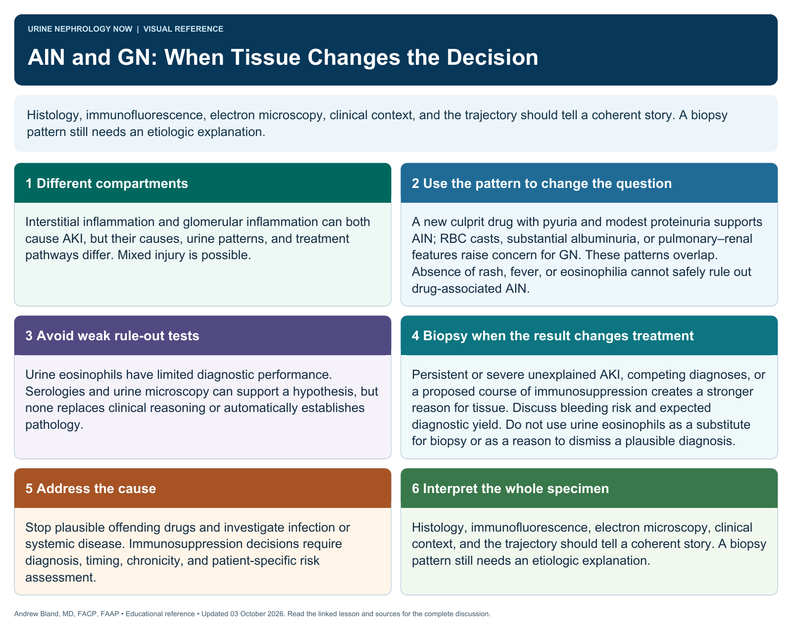 AIN and GN: When Tissue Changes the Decision. Full text follows below.