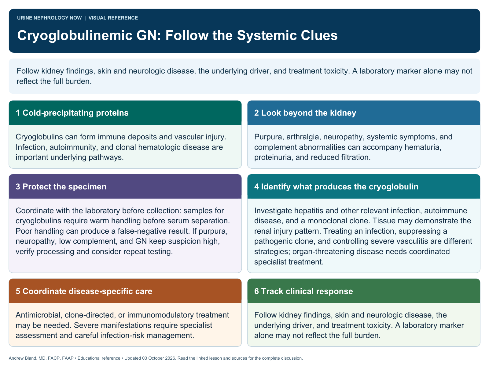 Cryoglobulinemic GN: Follow the Systemic Clues. Full text follows below.