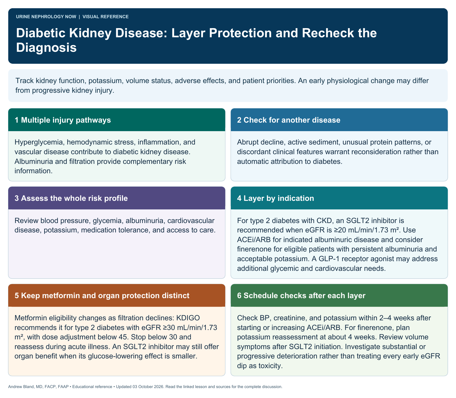 Diabetic Kidney Disease: Layer Protection and Recheck the Diagnosis. Full text follows below.