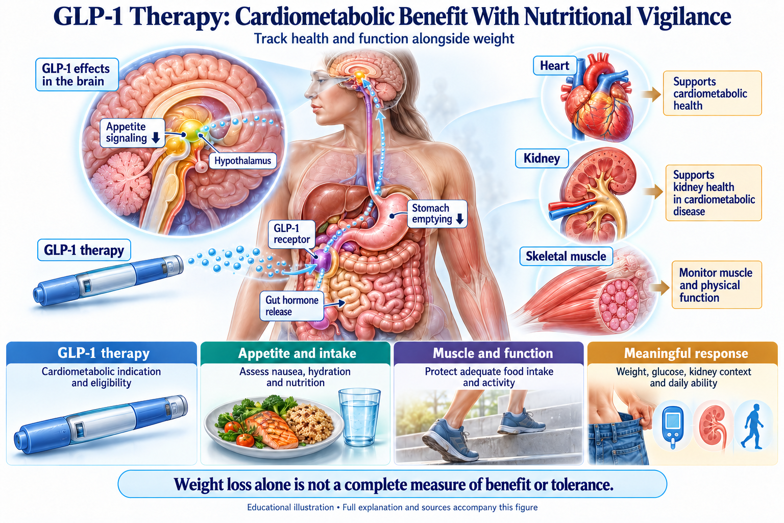 GLP-1 Therapy: Cardiometabolic Benefit With Nutritional Vigilance visual summary