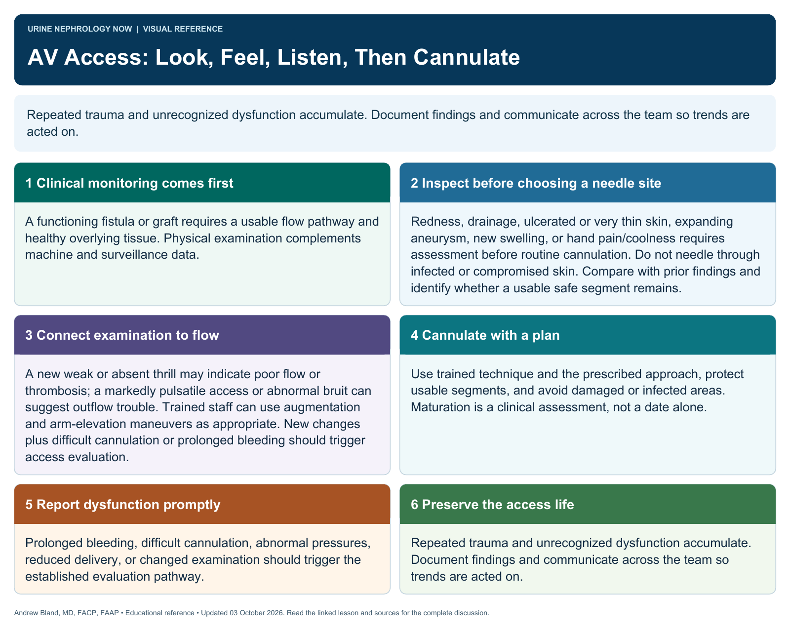 AV Access: Look, Feel, Listen, Then Cannulate. Full text follows below.