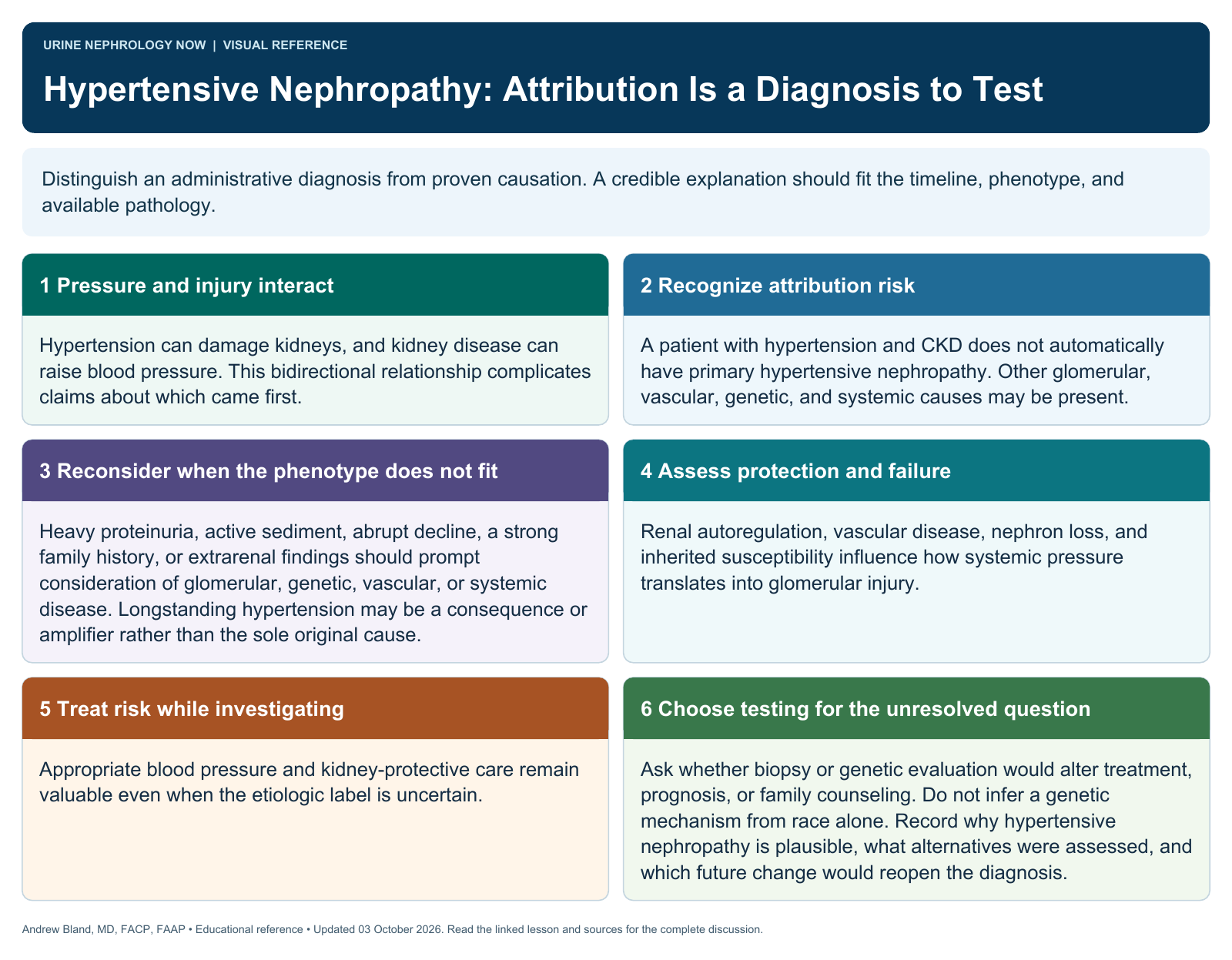 Hypertensive Nephropathy: Attribution Is a Diagnosis to Test. Full text follows below.