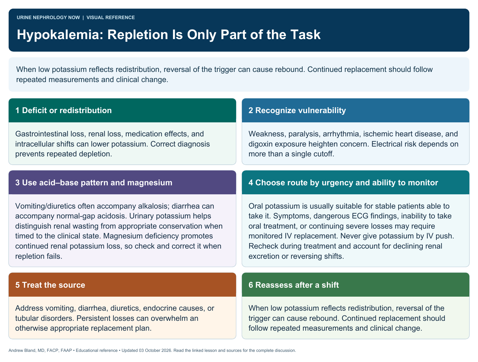 Hypokalemia: Repletion Is Only Part of the Task. Full text follows below.