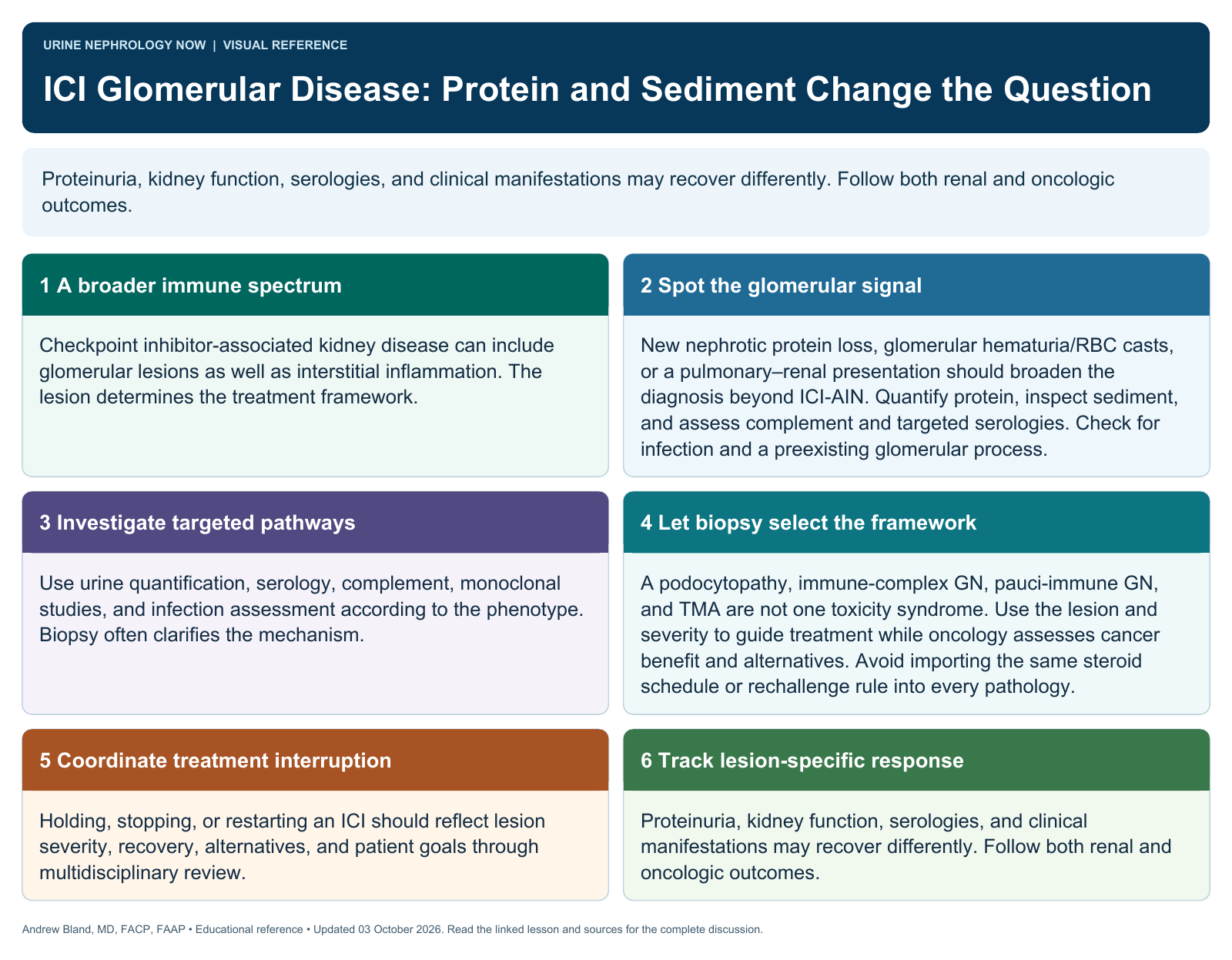 ICI Glomerular Disease: Protein and Sediment Change the Question. Full text follows below.