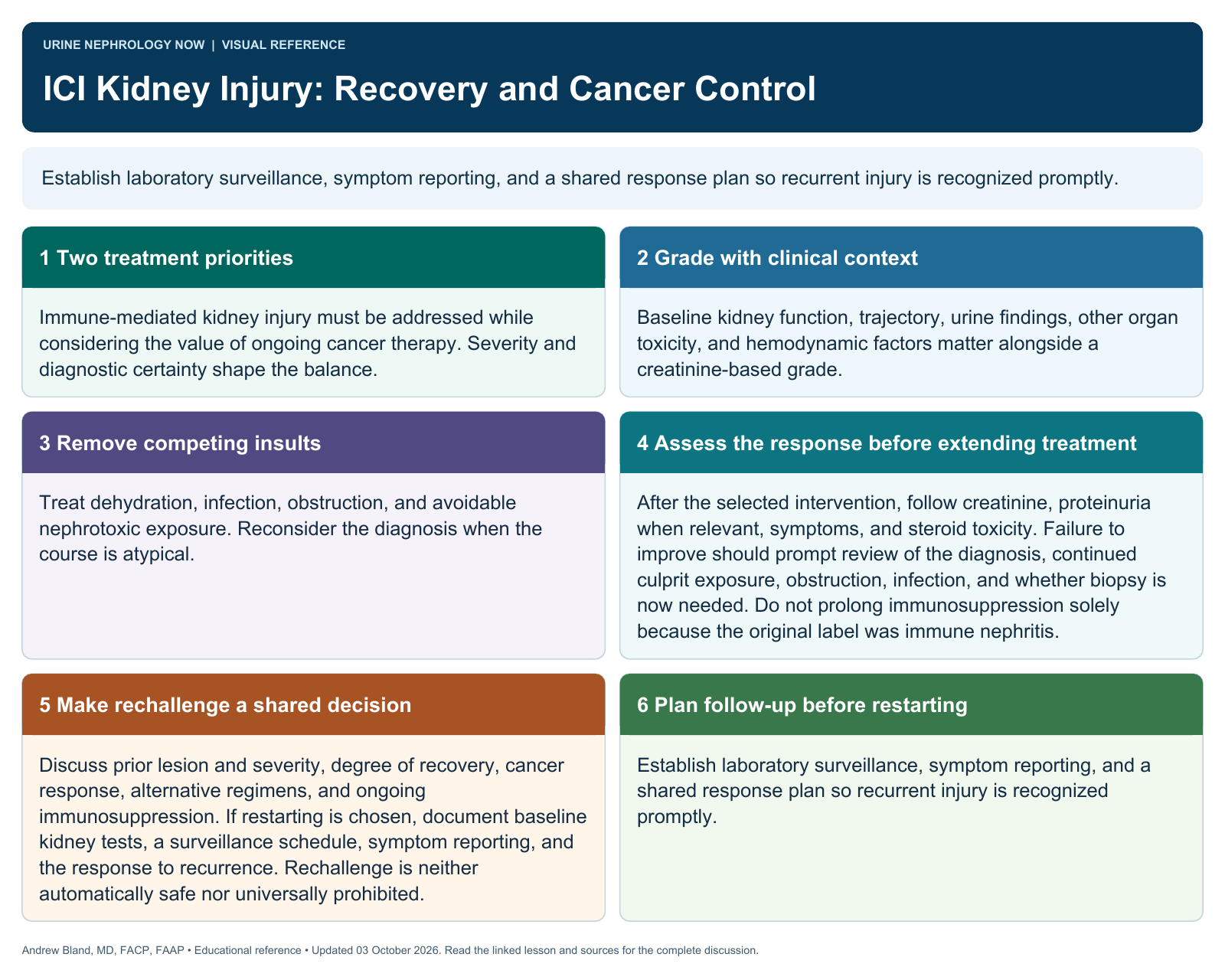 ICI Kidney Injury: Recovery and Cancer Control. Full text follows below.