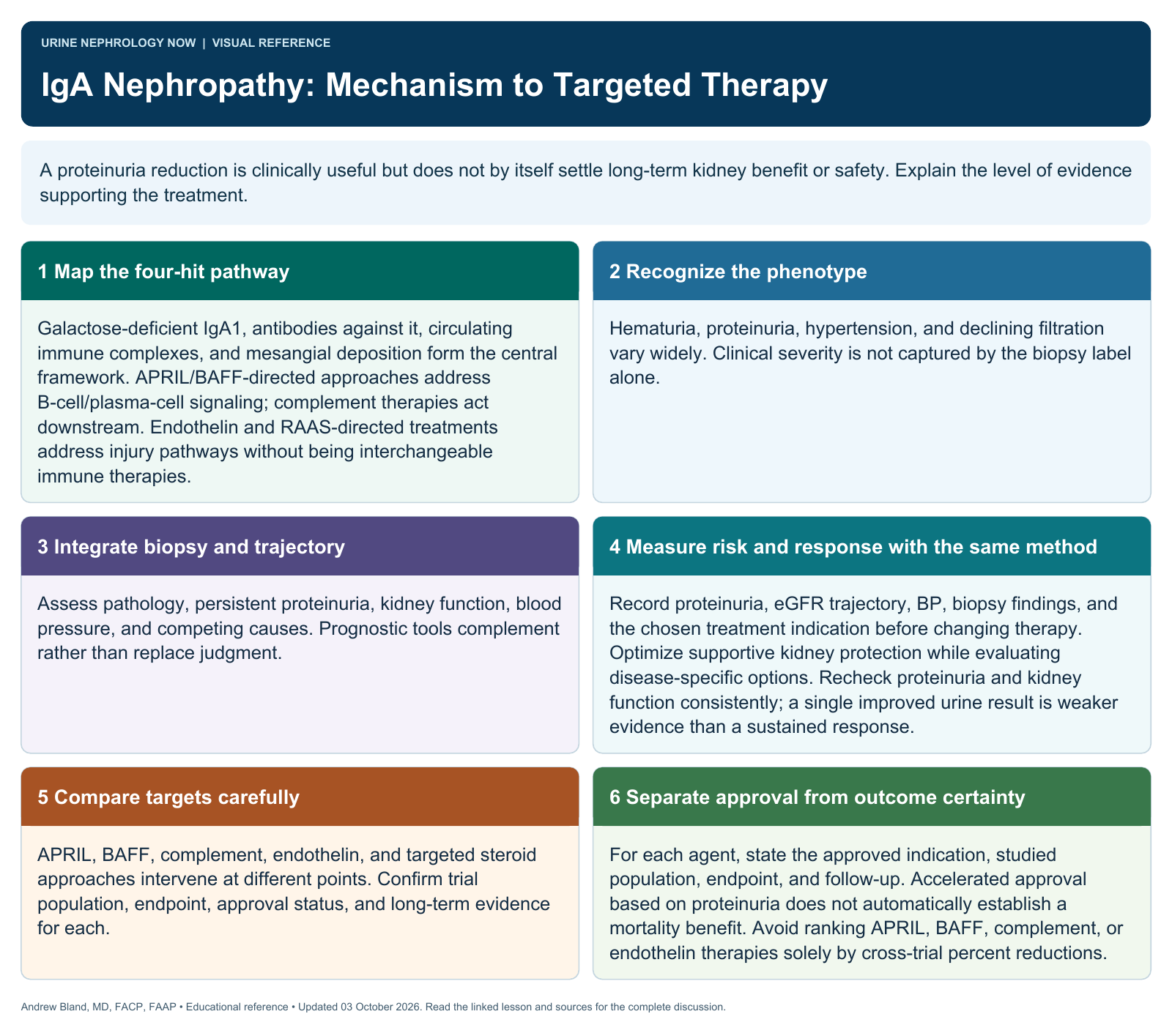 IgA Nephropathy: Mechanism to Targeted Therapy. Full text follows below.