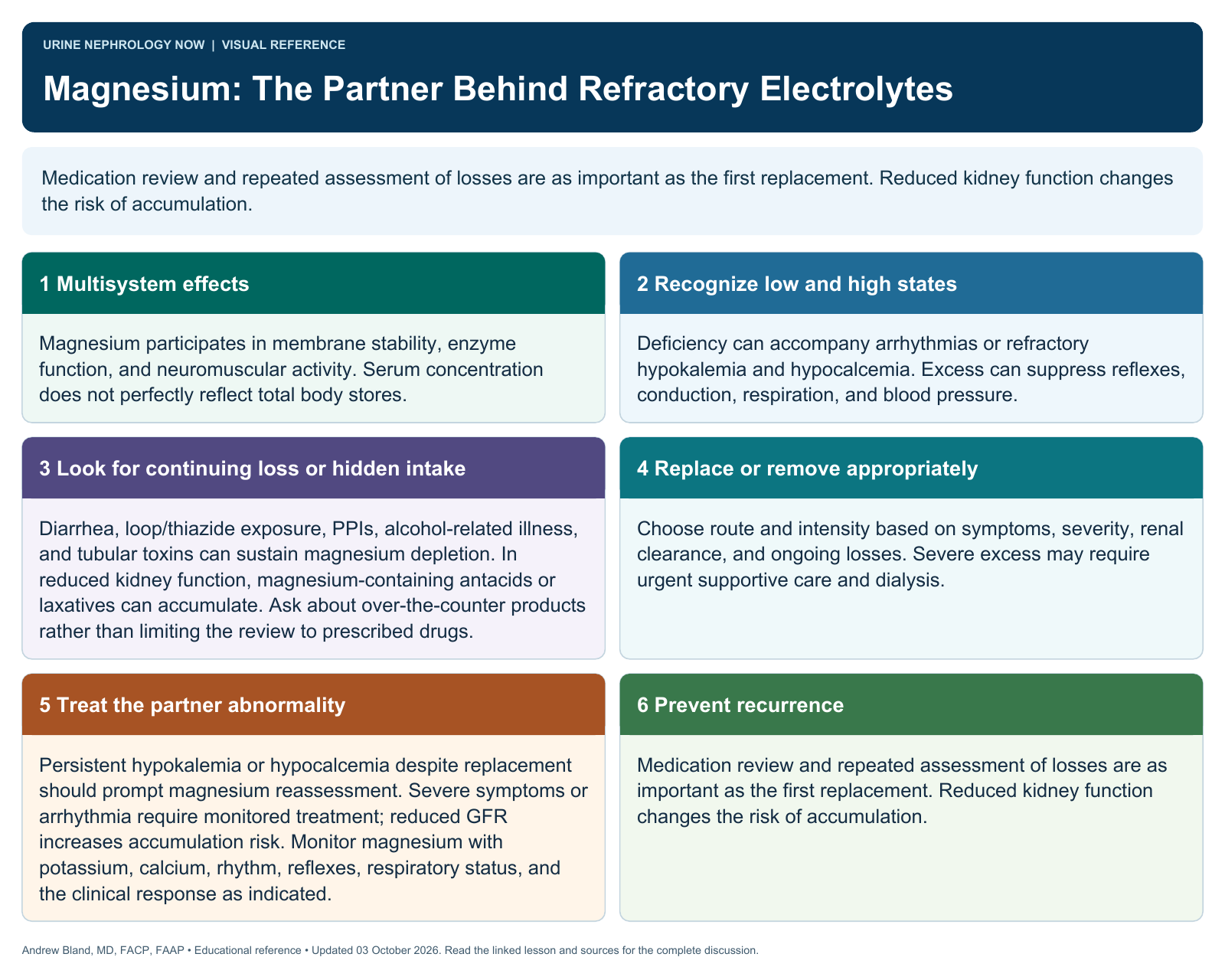 Magnesium: The Partner Behind Refractory Electrolytes. Full text follows below.