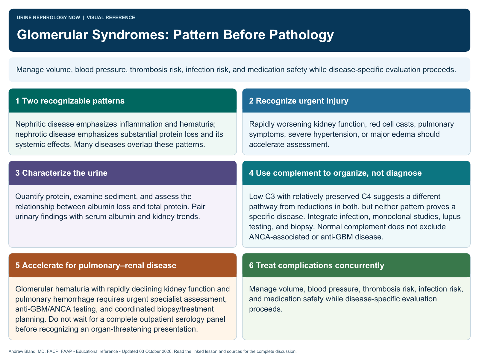 Glomerular Syndromes: Pattern Before Pathology. Full text follows below.