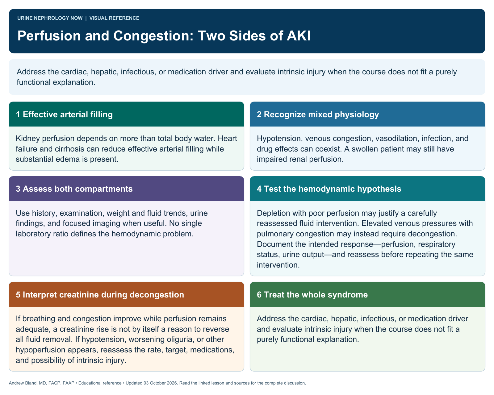 Perfusion and Congestion: Two Sides of AKI. Full text follows below.
