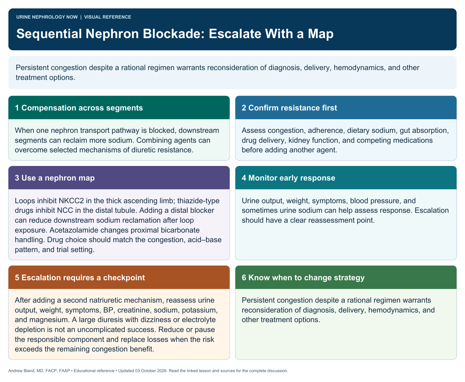 Sequential Nephron Blockade: Escalate With a Map. Full text follows below.