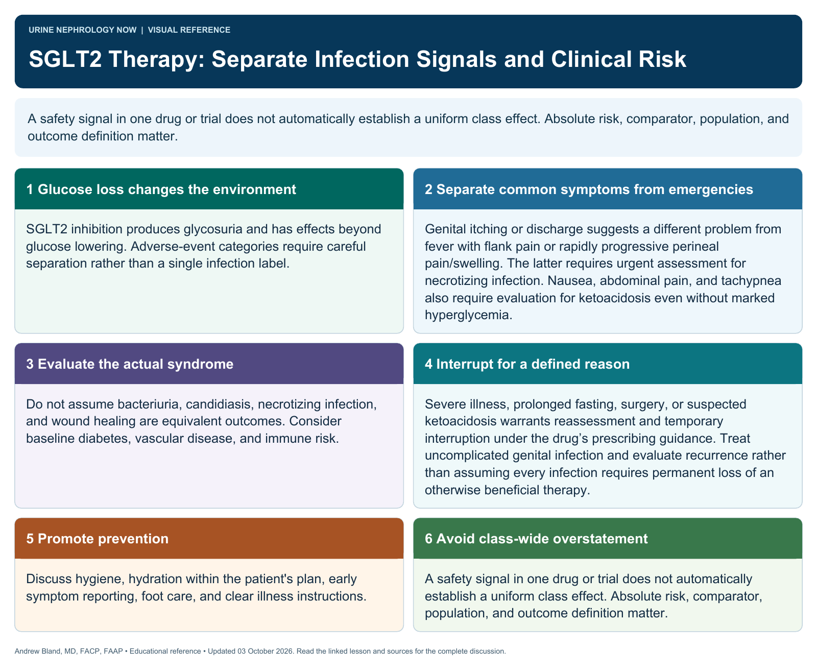 SGLT2 Therapy: Separate Infection Signals and Clinical Risk. Full text follows below.