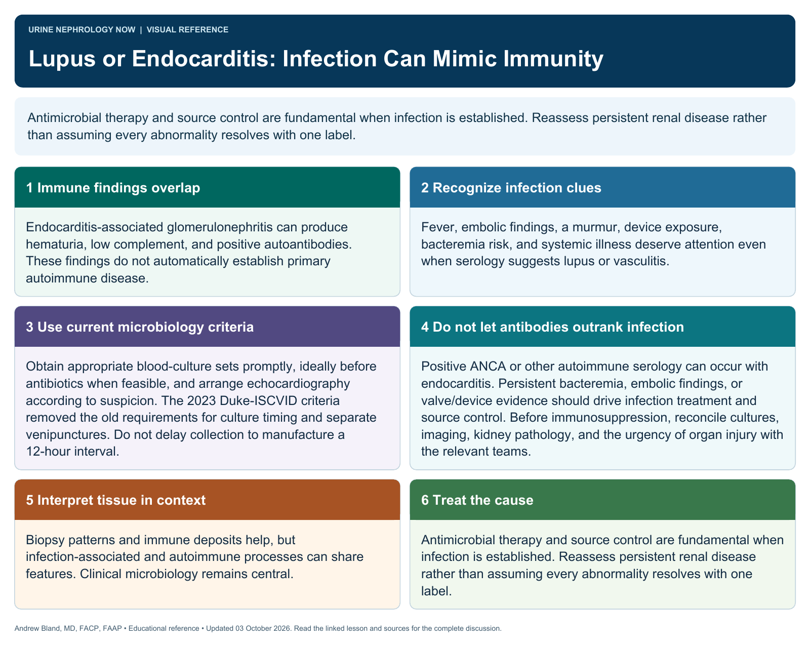 Lupus or Endocarditis: Infection Can Mimic Immunity. Full text follows below.