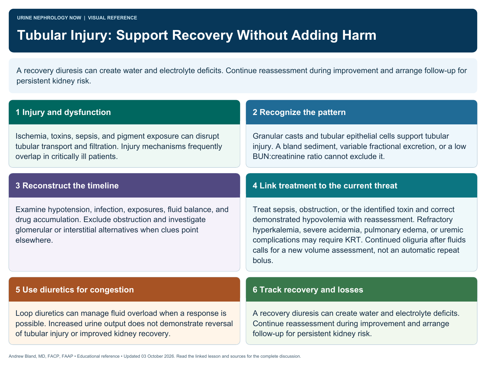 Tubular Injury: Support Recovery Without Adding Harm. Full text follows below.