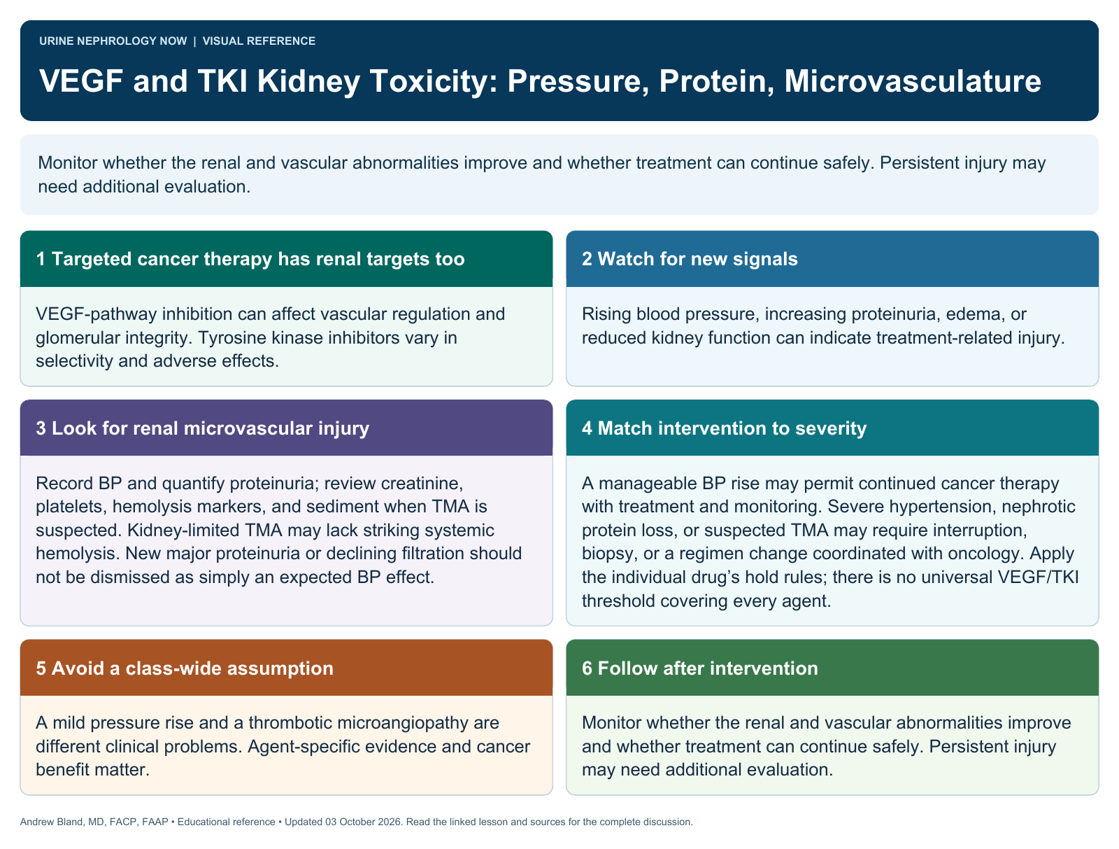 VEGF and TKI Kidney Toxicity: Pressure, Protein, Microvasculature. Full text follows below.