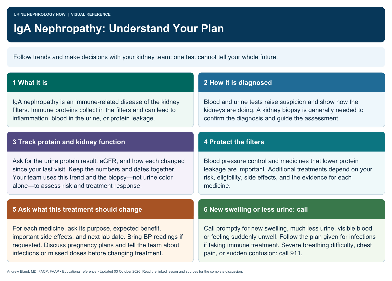 IgA Nephropathy: Understand Your Plan. Full text follows below.