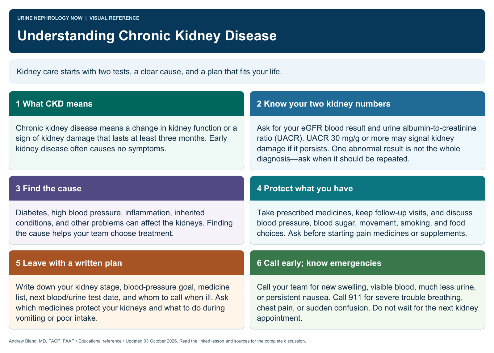 Understanding Chronic Kidney Disease. Full text follows below.