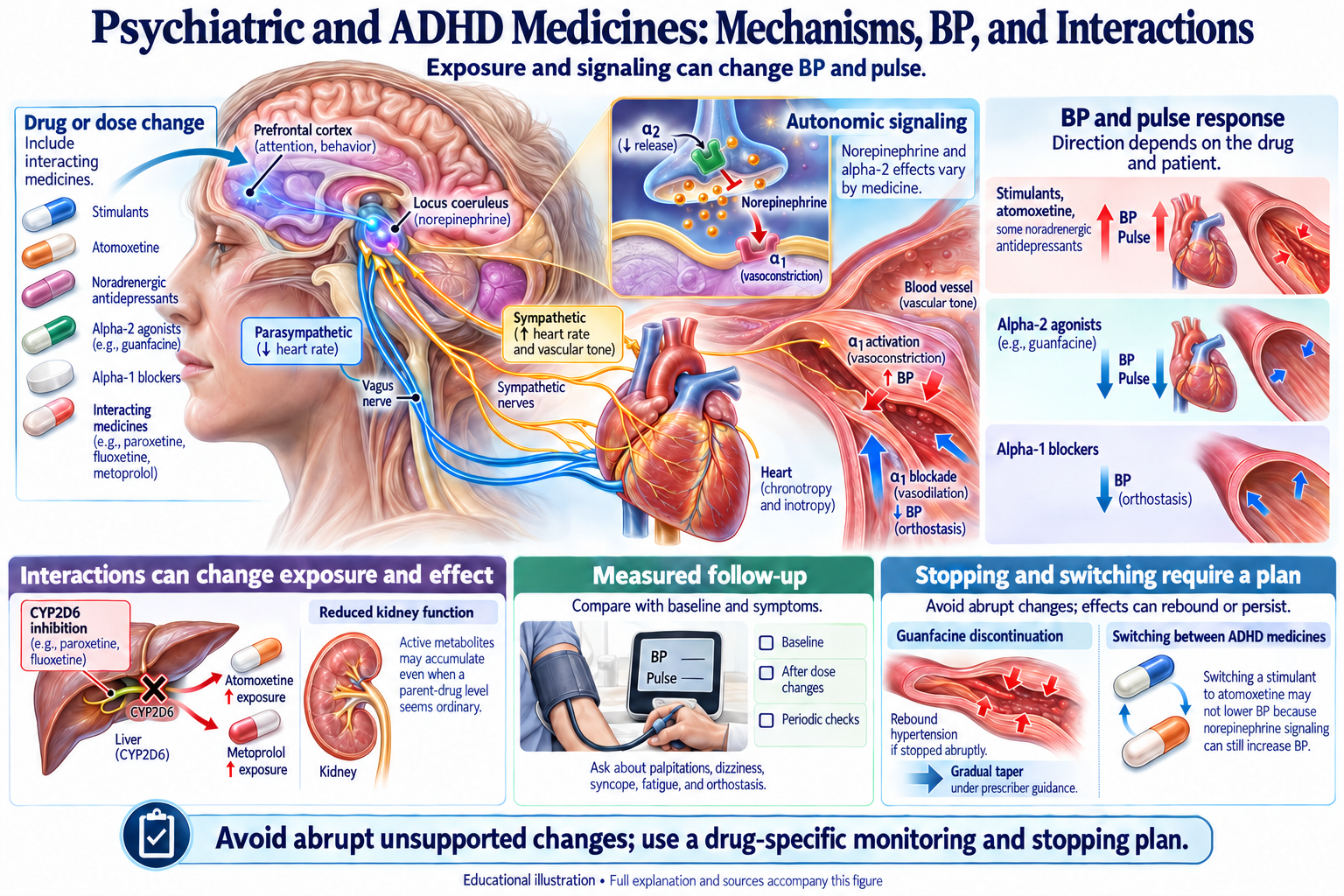 Psychiatric and ADHD Medicines: Mechanisms, BP, and Interactions visual summary