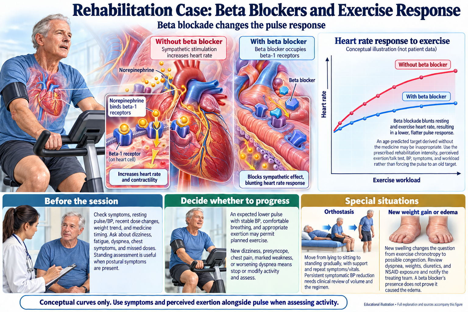 Rehabilitation Case: Beta Blockers and Exercise Response visual summary