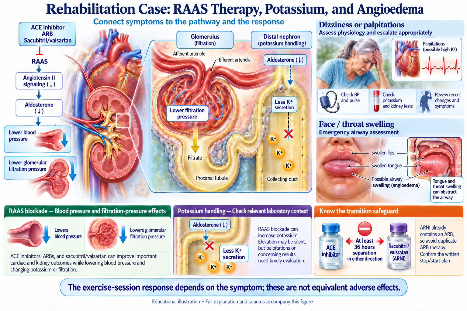 Rehabilitation Case: RAAS Therapy, Potassium, and Angioedema visual summary