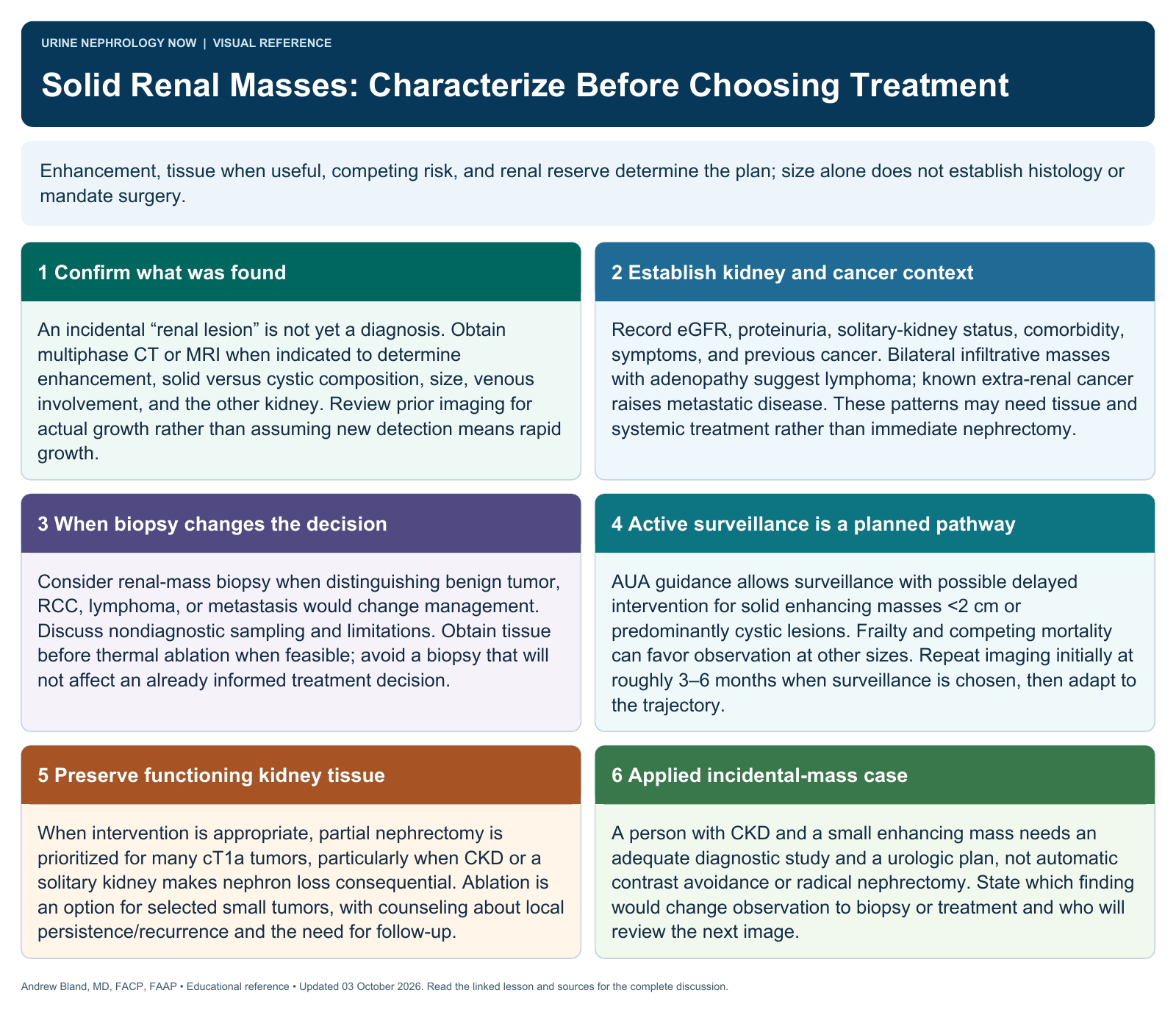 Solid Renal Masses: Characterize Before Choosing Treatment. Full text follows below.