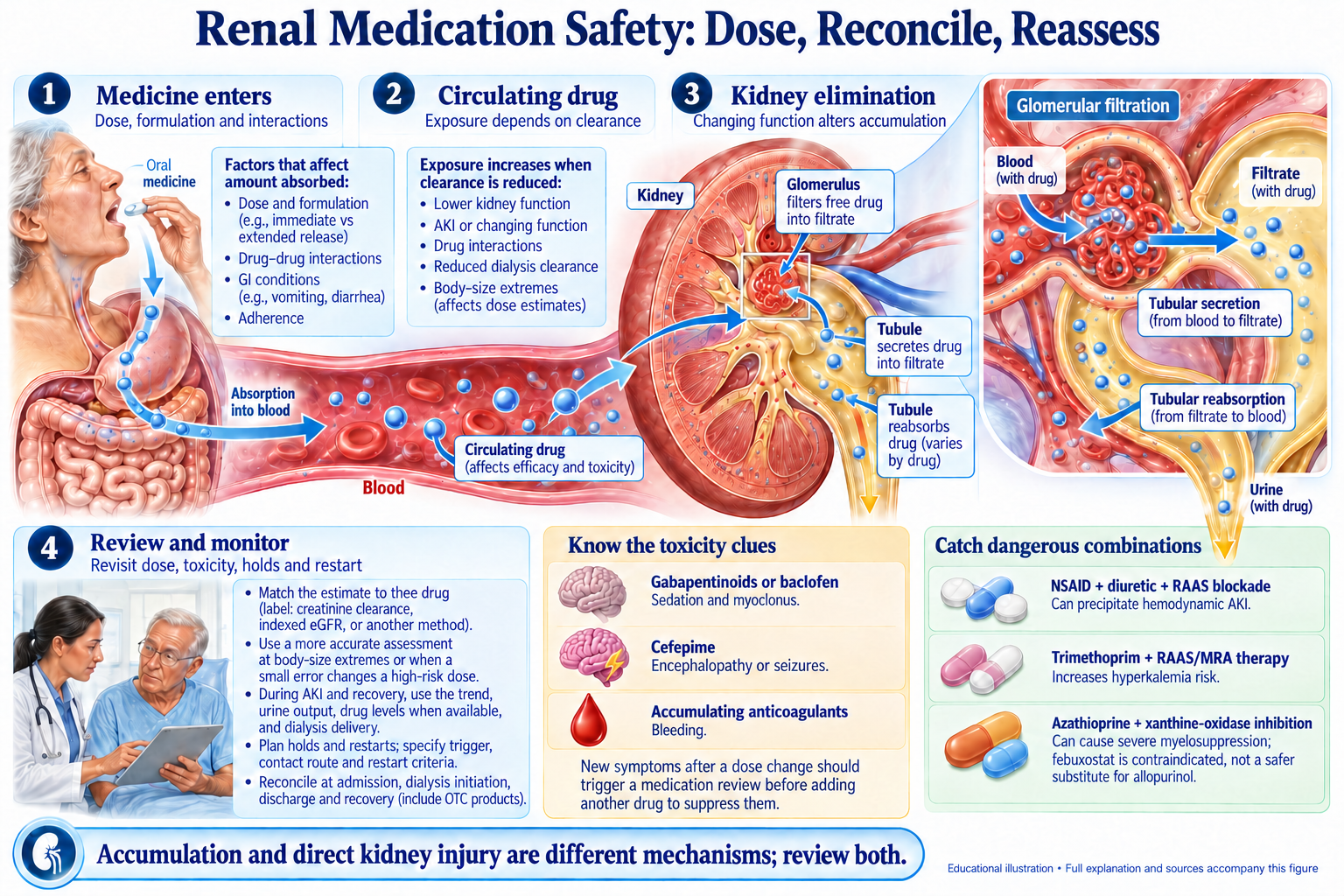 Renal Medication Safety: Dose, Reconcile, Reassess visual summary