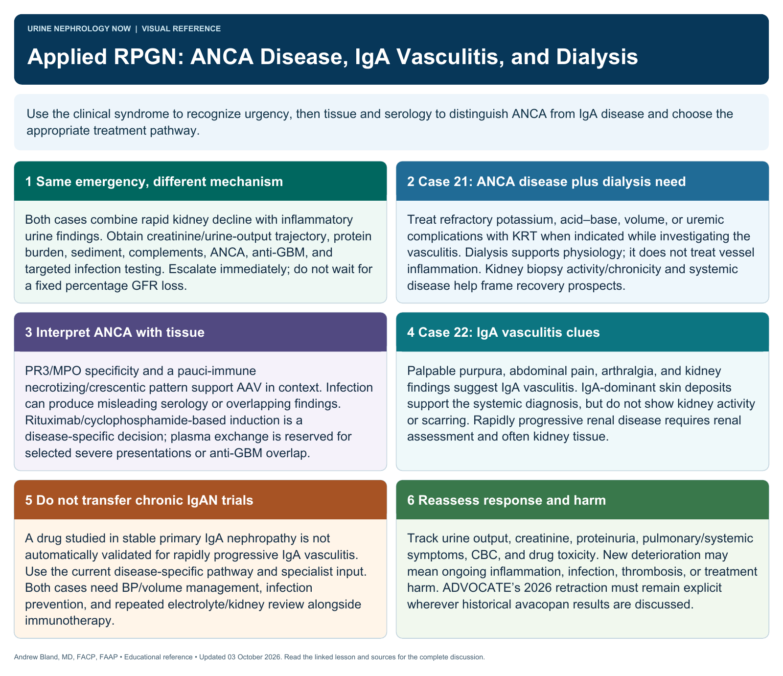 Applied RPGN: ANCA Disease, IgA Vasculitis, and Dialysis. Full text follows below.