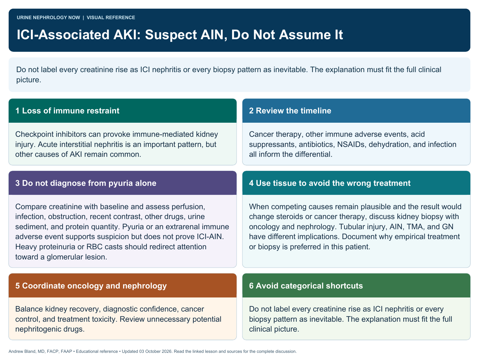 ICI-Associated AKI: Suspect AIN, Do Not Assume It. Full text follows below.