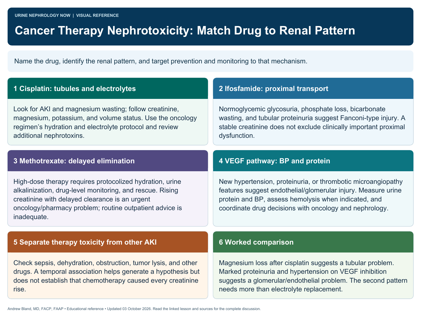 Cancer Therapy Nephrotoxicity: Match Drug to Renal Pattern. Full text follows below.