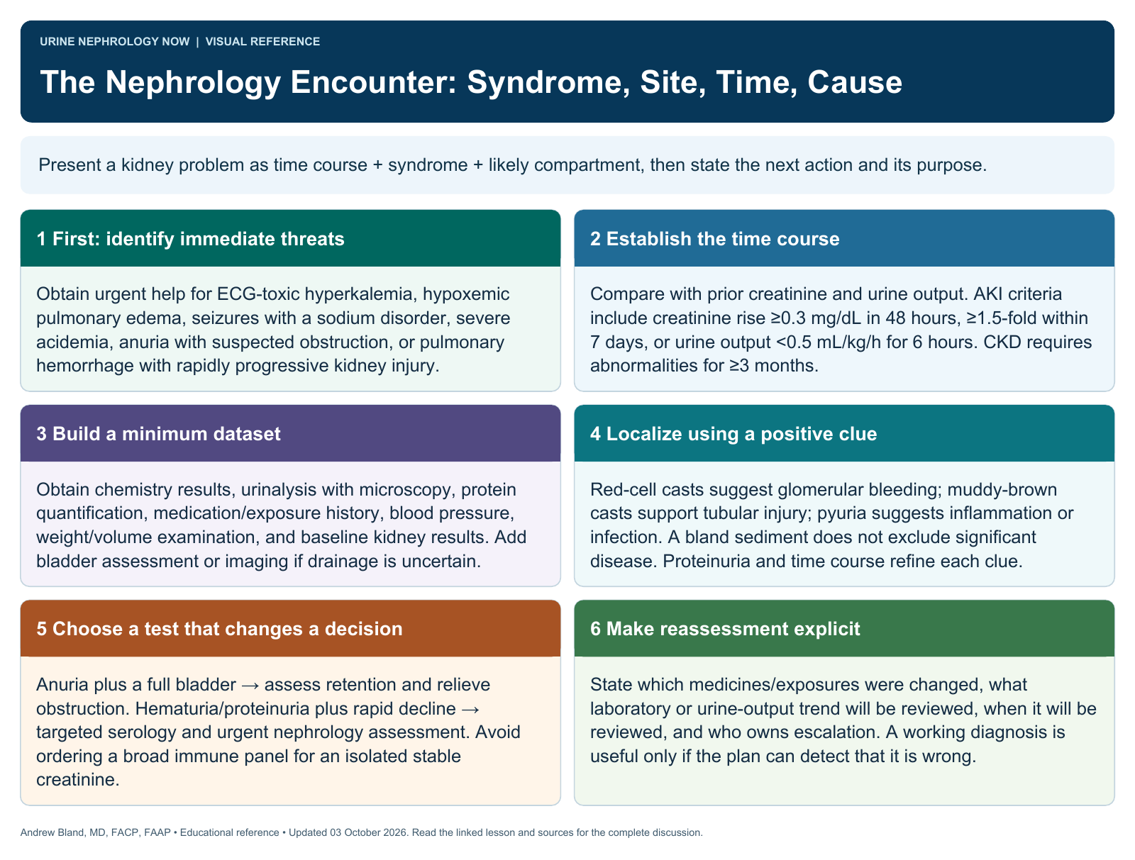 The Nephrology Encounter: Syndrome, Site, Time, Cause. Full text follows below.
