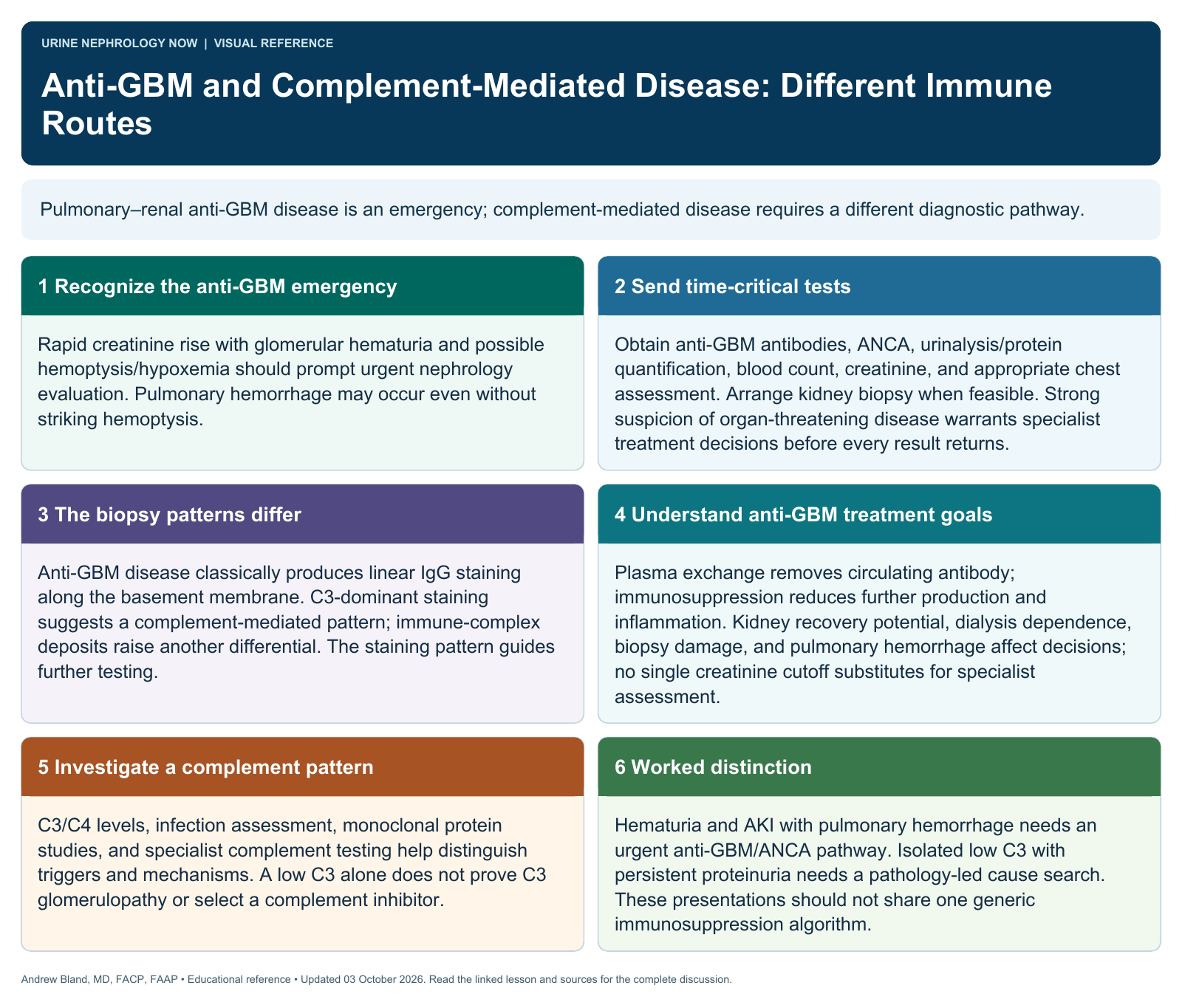 Anti-GBM and Complement-Mediated Disease: Different Immune Routes. Full text follows below.