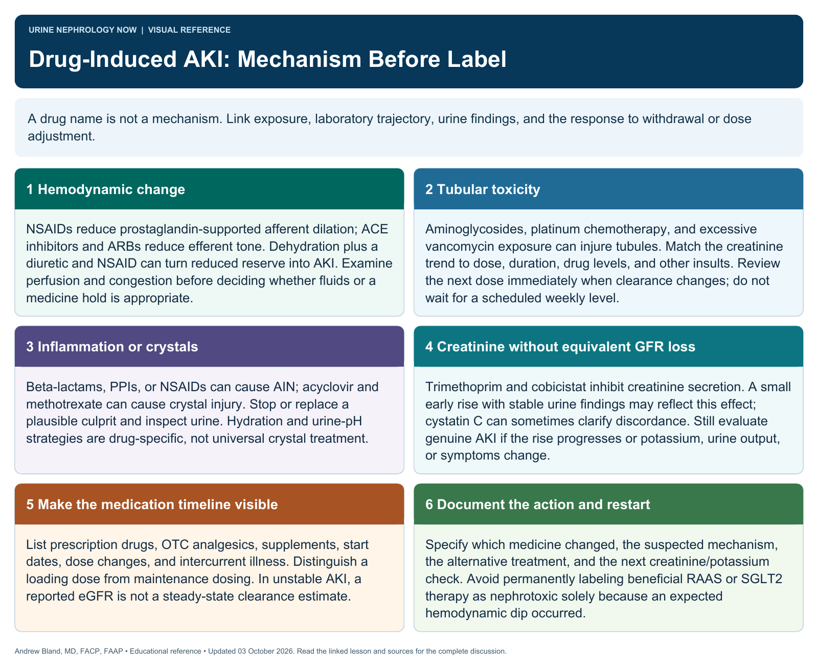 Drug-Induced AKI: Mechanism Before Label. Full text follows below.